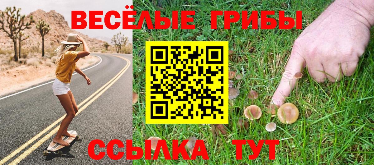 Псилоцибиновые грибы Psilocybe  Вход с VPN  Магнитогорск 
